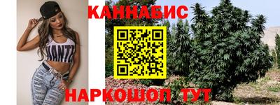 индика Ивантеевка