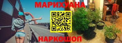 индика Ивантеевка