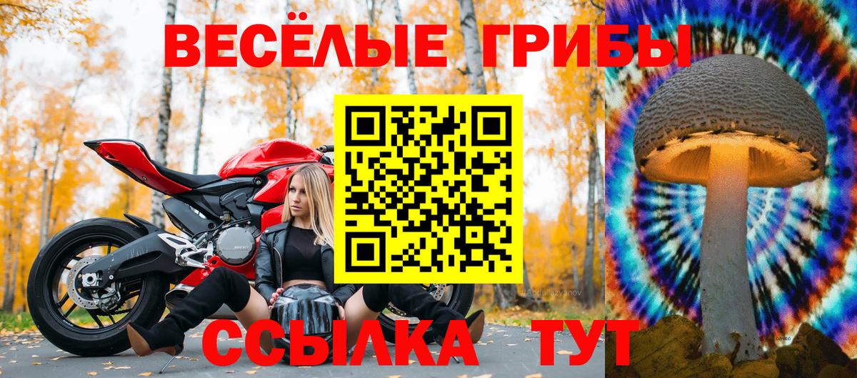 Псилоцибиновые грибы мицелий Аргун