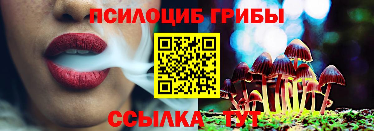 Галлюциногенные грибы Psilocybe  Вход с VPN  Аргун 