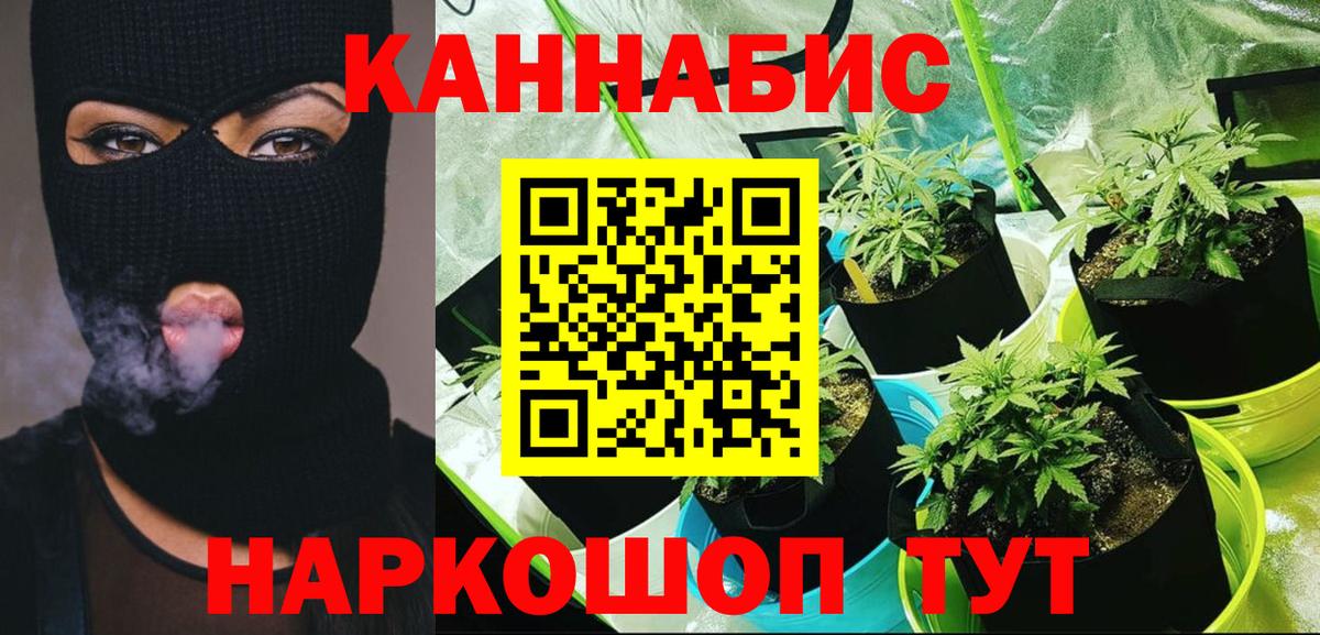 Канабис VHQ  Бошки Шишки AK-47  Вход с VPN  Аргун  Марихуана гибрид 